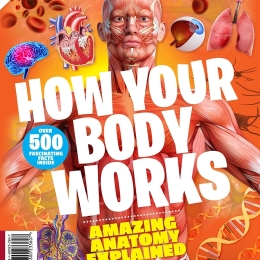 How Your Body Works (3rd Edition)