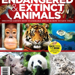 Endangered & Extinct Animals (2nd Edition)