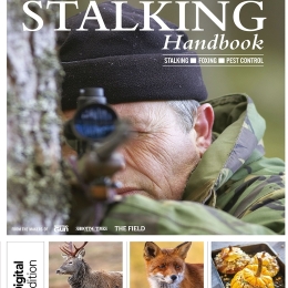 Sporting Gun: The Ultimate Stalking Handbook