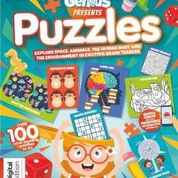 Future Genius: Puzzles