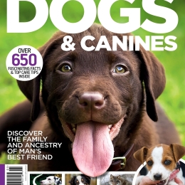 World of Animals Book of Dogs & Canines (5th Edition)