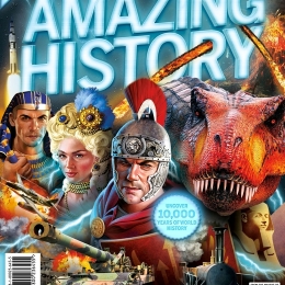 Amazing History (2nd Edition)