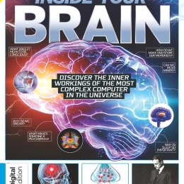 Inside Your Brain (3rd Edition)