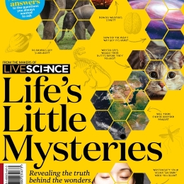 Life's Little Mysteries (2nd Edition)