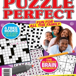 Puzzle Perfect (2nd Edition)