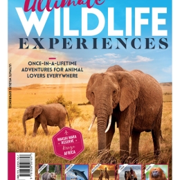 Ultimate Wildlife Experiences