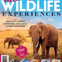 Ultimate Wildlife Experience (2nd Edition)