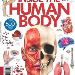 Inside The Human Body