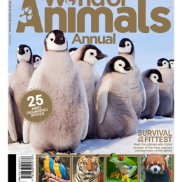 World of Animals Annual Volume 6