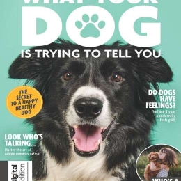 What Your Dog is Trying To Tell You (2nd Edition)