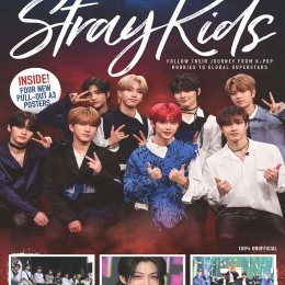 Ultimate Fan's Guide to Stray Kids