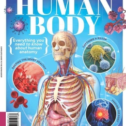 Complete Guide To The Human Body