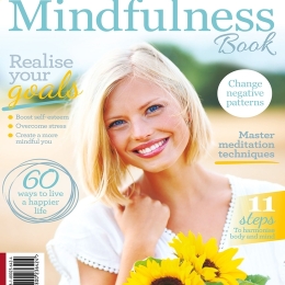 Practical Mindfulness (6th Edition)