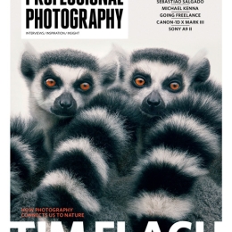 Professional Photography Issue 26