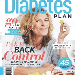 The Diabetes Plan