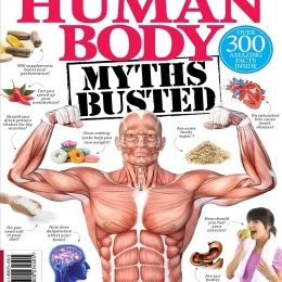 Biggest Human Body Myths Busted (6th Edition)