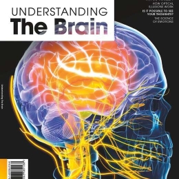 Understanding The Brain