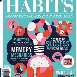 Understanding Habits (3rd Edition)