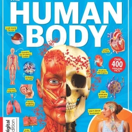 Everything You Need To Know About The Human Body