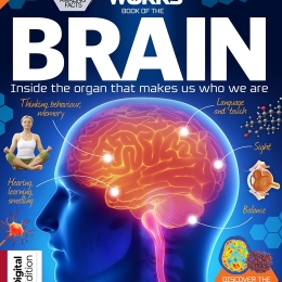 Book of the Brain