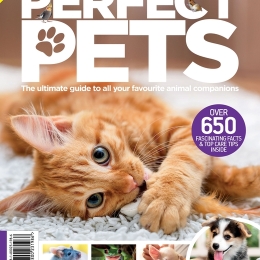 Book of Perfect Pets (3rd Edition)